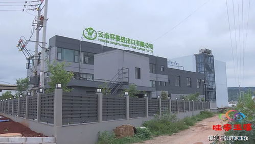 保持全省第一 上半年玉溪市農(nóng)產(chǎn)品出口總額達(dá)10億美元